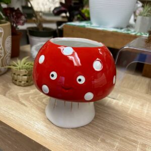 SM Mushroom Pot