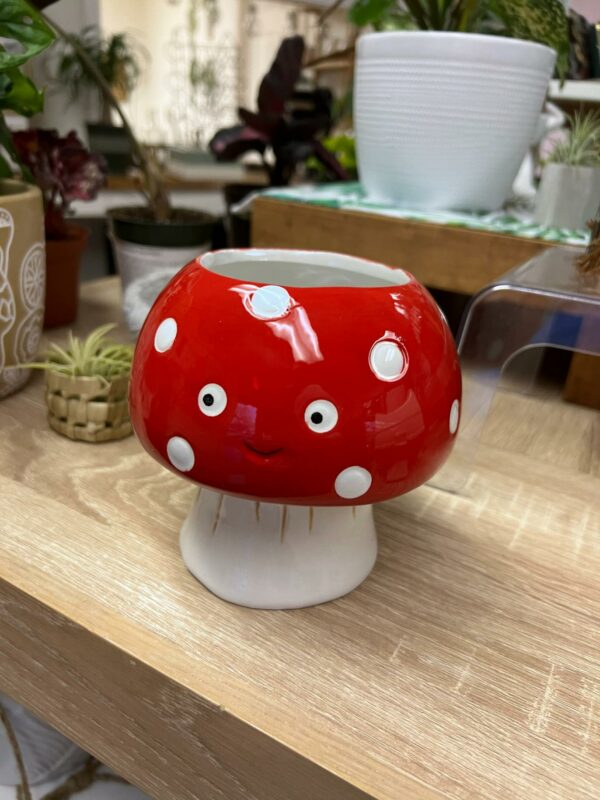 SM Mushroom Pot